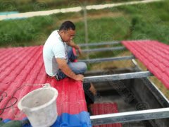 树脂瓦走进农村自建房