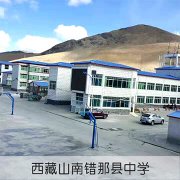 北林树脂瓦厂家所在-合成树脂瓦出产厂家