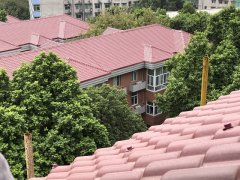 2021年购买树脂瓦的三点误区