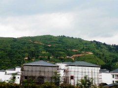 6米树脂瓦价值表