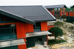 合成树脂瓦媲美传统建筑，素雅、浑厚、接地气！